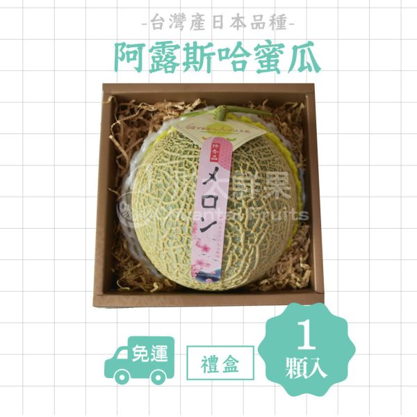 嚴選台灣小農-頂級阿露斯網紋哈密瓜、禮盒1顆入(免運) 溫室哈密瓜,綠肉,哈密瓜,網紋哈密瓜,頂級水果,頂級哈密瓜,熊本縣,熊本