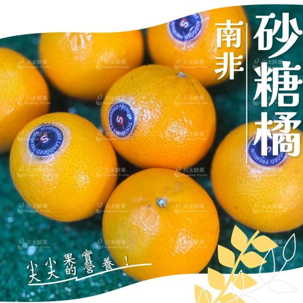 南非-砂糖橘、18粒入/盒、兩盒入同地址優惠(免運) 砂糖橘,小橘子,暴甜橘,迷你砂糖橘,進口砂糖橘,小禮盒,母親節,送禮,優質水果