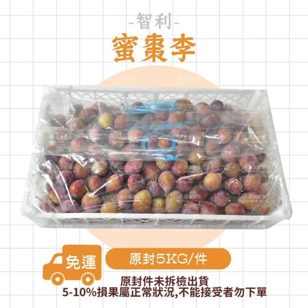 【限時特價】智利-蜜棗李、原封5KG/件(免運) 櫻桃李,李子,甜李,脆李,進口水果,水果,水果禮盒,蜜棗李,蜜李,蜜甜李