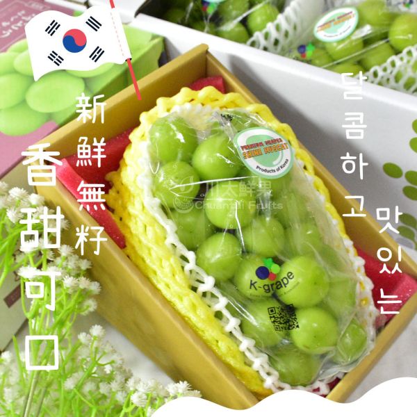 韓國麝香葡萄、1房入/盒(免運) 麝香葡萄,水果禮盒,韓國水果,送禮,空運水果