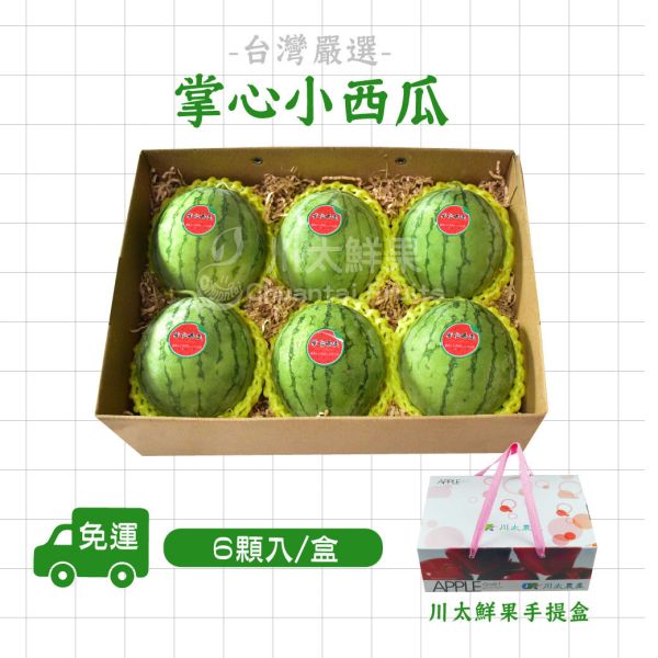 嚴選台灣-掌心小西瓜、6小顆入/盒(免運) 瓜,頂級水果,頂級哈密瓜,西瓜,掌心小西瓜,迷你西瓜,