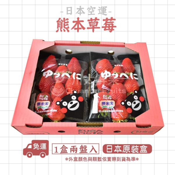 日本空運-熊本草莓(免運)少量現貨+預購、日本原裝一盒兩小盤入 日本草莓,熊本草莓,草莓,進口水果,水果禮盒,好吃的草莓,空運草莓,日本水果