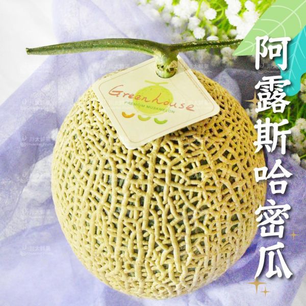 台灣-阿露斯網紋哈密瓜、禮盒1顆入(每顆足2KG以上)(免運) 溫室哈密瓜,綠肉,哈密瓜,網紋哈密瓜,頂級水果,頂級哈密瓜,熊本縣,熊本