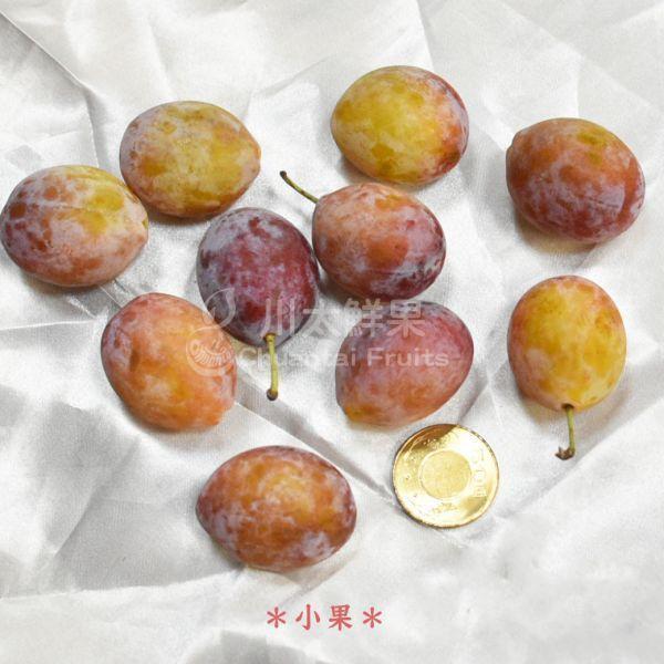 智利-蜜棗李、禮盒裝1KG/盒、同地址優惠(免運) 櫻桃李,李子,甜李,脆李,進口水果,水果,水果禮盒,蜜棗李,蜜李,蜜甜李