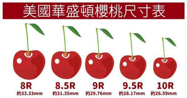 【特惠活動】美國空運-華盛頓櫻桃、9.5R/1.8KG手提禮盒、同地址優惠(免運) 櫻桃,空運櫻桃,美國櫻桃,美國華盛頓櫻桃,西北櫻桃