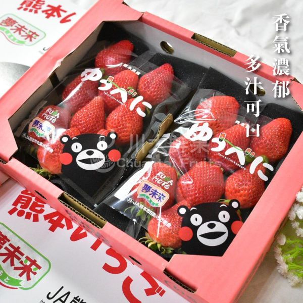 日本空運-熊本草莓(免運)少量現貨+預購、日本原裝一盒兩小盤入 日本草莓,熊本草莓,草莓,進口水果,水果禮盒,好吃的草莓,空運草莓,日本水果