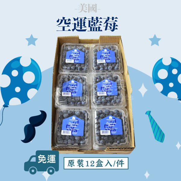 ［８８節限定］美國-空運藍莓、原裝箱１２小盒入驚爆價(免運) 美國藍莓,美國,藍莓,空運藍莓,88節限定,送給爸爸,禮物,營養價值高
