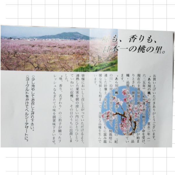 【預購】日本空運-和歌山-あら川の水蜜桃、原裝箱13~15顆入(免運) 日本和歌山水蜜桃,和歌山水蜜桃,水蜜桃,水果禮盒,日本水果,和歌山,送禮