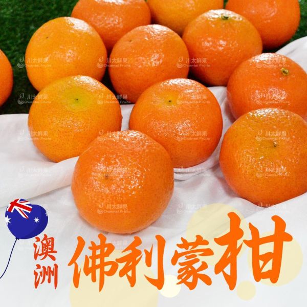 澳洲-佛利蒙柑、18顆入/盒(免運) 砂糖橘,小橘子,暴甜橘,迷你砂糖橘,進口砂糖橘,小禮盒,母親節,送禮,優質水果,佛利蒙柑