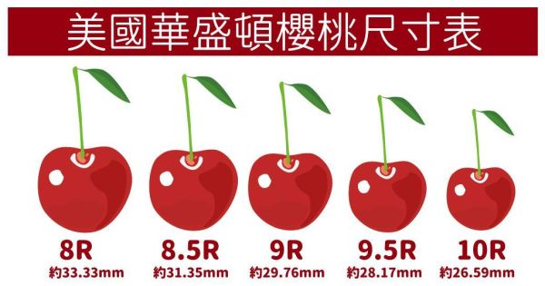 【預購/現貨】美國空運-華盛頓櫻桃、8.5R、9R/多規格精緻禮盒(免運) 櫻桃,空運櫻桃,美國櫻桃,美國華盛頓櫻桃,西北櫻桃