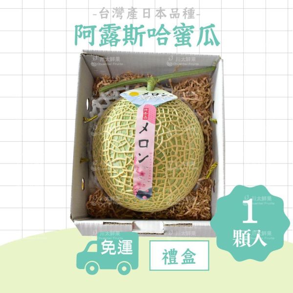 嚴選台灣小農-頂級阿露斯網紋哈密瓜、禮盒1顆入(免運) 溫室哈密瓜,綠肉,哈密瓜,網紋哈密瓜,頂級水果,頂級哈密瓜,熊本縣,熊本
