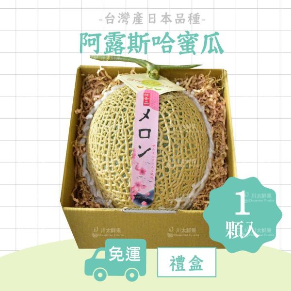 台灣-阿露斯網紋哈密瓜、禮盒1顆入(每顆足2KG以上)(免運) 溫室哈密瓜,綠肉,哈密瓜,網紋哈密瓜,頂級水果,頂級哈密瓜,熊本縣,熊本
