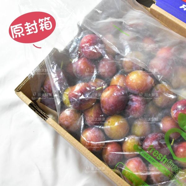 【限時特價】智利-蜜棗李、原封2.5KG/箱(免運) 櫻桃李,李子,甜李,脆李,進口水果,水果,水果禮盒,蜜棗李,蜜李,蜜甜李