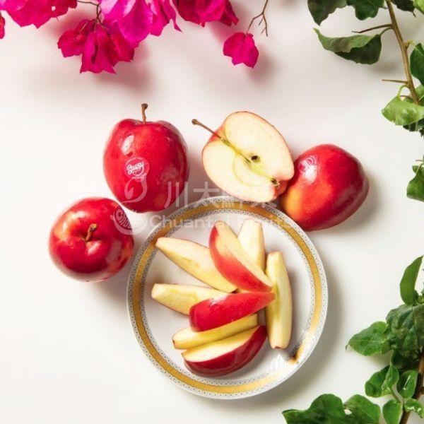 紐西蘭-SASSY蘋果、輕量組6粒入、同地址優惠(免運) 紐西蘭蘋果,無蠟蘋果,水果宅配,SASSY蘋果