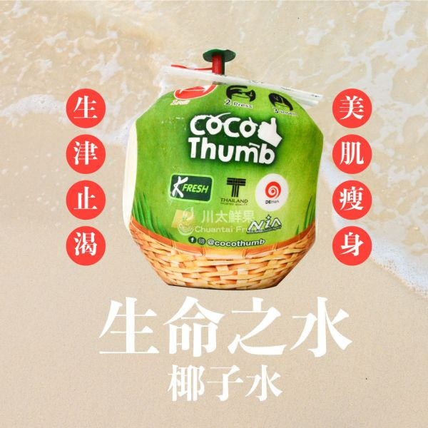 【一壓即飲】清涼泰國椰子水、原裝12顆入/箱(免運) 泰國椰子,進口椰子,椰子汁,椰奶