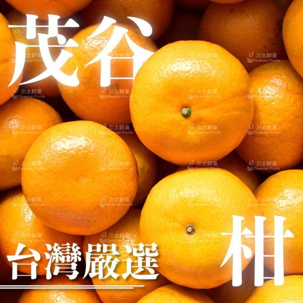 台灣產-茂谷柑、15顆入/盒(免運) 茂谷柑, 台產茂谷柑 ,禮盒