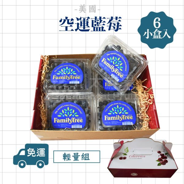 美國-空運藍莓、輕量組6小盒入(免運) 美國藍莓,美國,藍莓,空運藍莓