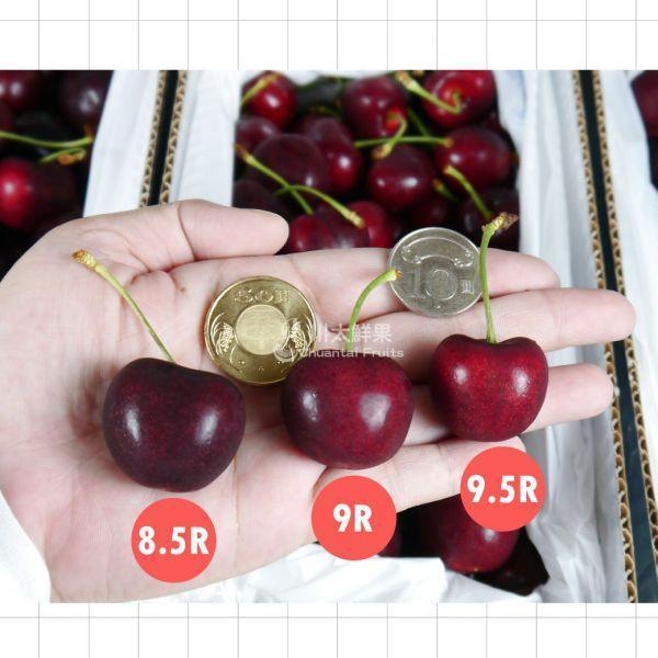 【預購/現貨】美國空運-華盛頓櫻桃、8.5R、9R/多規格精緻禮盒(免運) 櫻桃,空運櫻桃,美國櫻桃,美國華盛頓櫻桃,西北櫻桃