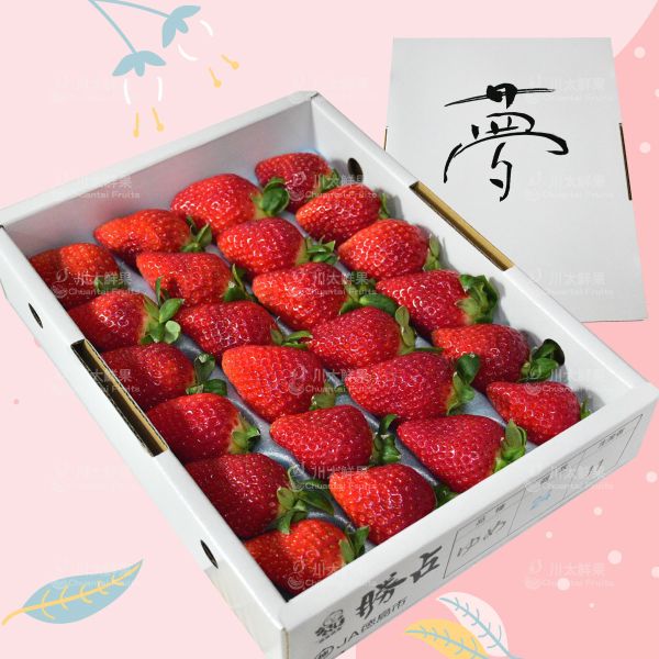 日本空運-德島勝占草莓、日本原裝盒(免運) 日本草莓,德島勝占糖蜜草莓,三色,三色草莓,草莓,進口水果,水果禮盒,好吃的草莓,空運草莓,日本水果,糖蜜草莓,勝占草莓,日本德島草莓