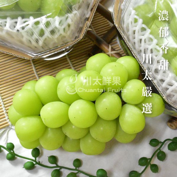 韓國麝香葡萄、2房入/盒(免運) 麝香葡萄,水果禮盒,韓國水果,送禮,空運水果