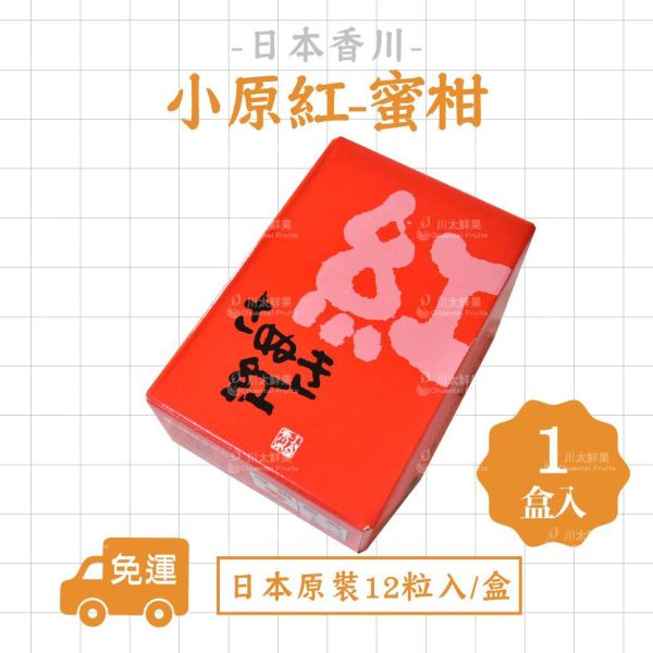 日本香川縣-{小原紅}蜜柑、日本原裝12顆入/盒、同地址優惠(免運) 日本才色果實,日本和歌山蜜柑,日本溫室蜜柑,日本蜜柑,小原紅蜜柑,香川蜜柑,日本蜜柑禮盒,頂級蜜柑