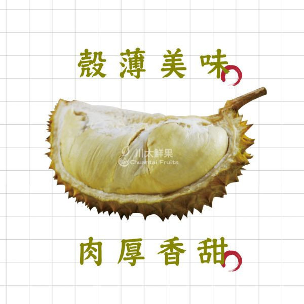 【預購】越南特選金枕頭榴槤-原裝箱3~4顆入、(免運) 越南金枕頭榴槤,金枕頭榴槤,越南榴槤,金枕頭,榴槤