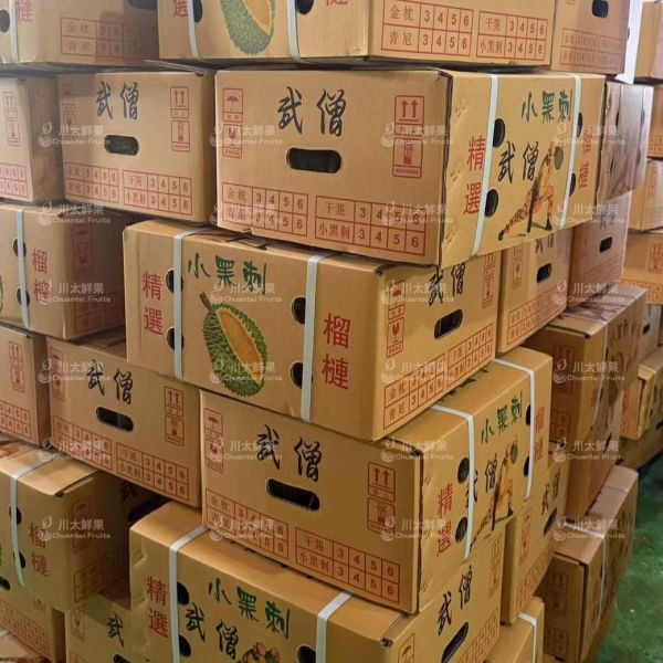 越南-干堯榴槤-(正A果)原裝3~4顆入/箱(免運)(現貨+預購) 越南干腰榴槤,干腰榴槤,越南榴槤,干腰,榴槤,干堯
