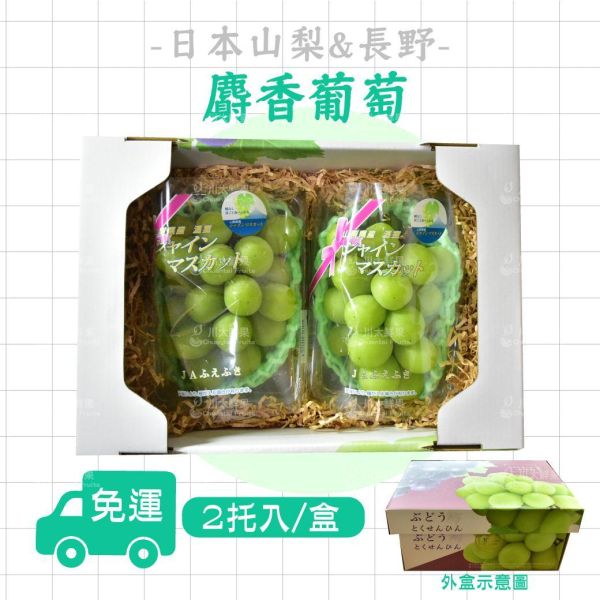 日本山梨&長野縣-麝香葡萄、兩房裝/盒(350g/房±10%)、(免運) 麝香葡萄,麝香葡萄,日本水果,進口水果,水果禮盒,送禮好物,山梨,山梨縣麝香葡萄