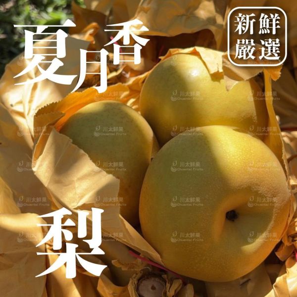 台灣產-嚴選小農夏月香梨子、禮盒大顆6顆入、8顆入/盒(免運) 夏月香,梨子,台灣嚴選梨子,小農嚴選,中秋禮盒