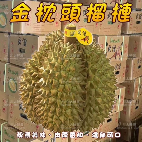 【預購】越南特選金枕頭榴槤-原裝箱3~4顆入、(免運) 越南金枕頭榴槤,金枕頭榴槤,越南榴槤,金枕頭,榴槤