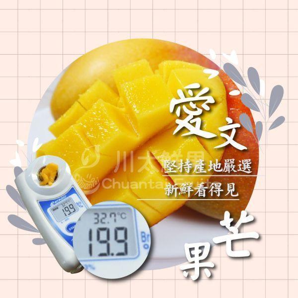 【預購+少量現貨】台灣愛文芒果、大箱15顆入/箱(免運) 枋山愛文芒果,芒果,台灣芒果