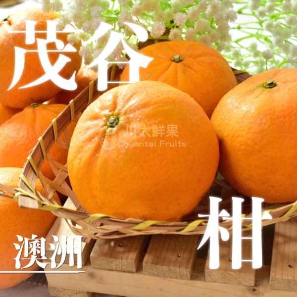 澳洲-茂谷柑、12顆入/盒(免運) 茂谷柑,澳洲茂谷柑,進口水果,禮盒,