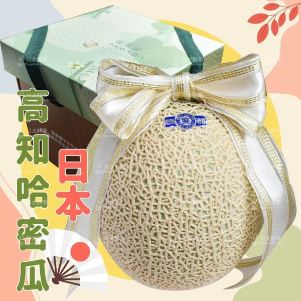 日本空運-頂級高知哈密瓜、禮盒1顆入/盒(免運) 日本熊本哈密瓜,溫室哈密瓜,綠肉,哈密瓜,網紋哈密瓜,日本水果,空運水果,日本果物,頂級水果,頂級哈密瓜,熊本縣,熊本,日本伴手禮,高知哈密瓜