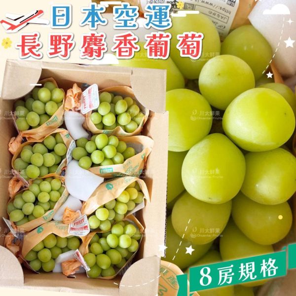 ［活動特惠］日本空運-長野縣麝香葡萄、日本原裝八房入/箱、禮盒兩房入/盒(免運) 麝香葡萄,麝香葡萄,日本水果,進口水果,水果禮盒,送禮好物,麝香葡萄
