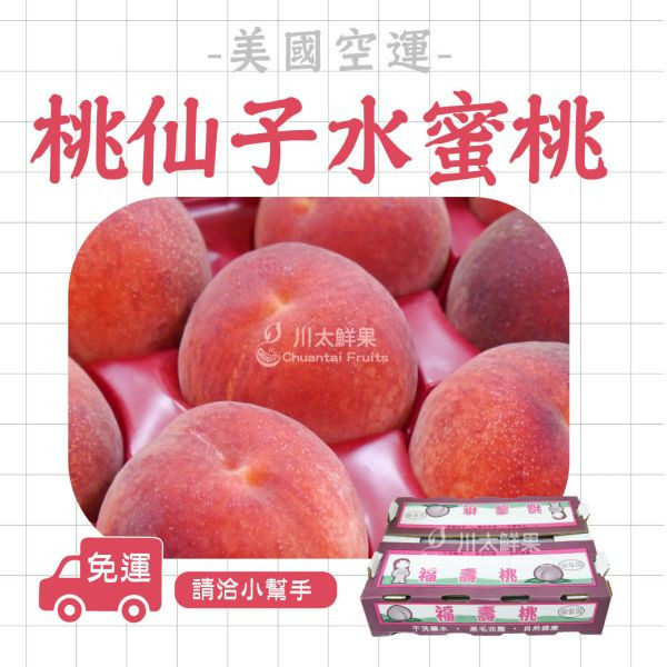 [預購]美國空運-桃仙子水蜜桃、預購品(免運) 美國水蜜桃,空運水蜜桃,美國水蜜桃,進口水蜜桃,國外水果
