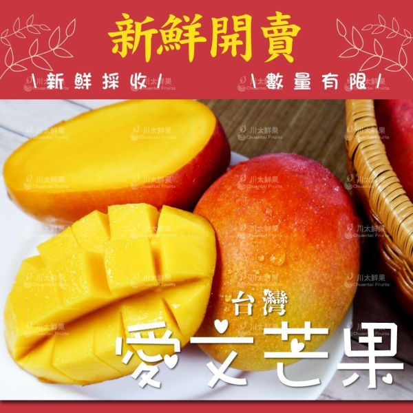 【預購+少量現貨】台灣愛文芒果、大箱15顆入/箱(免運) 枋山愛文芒果,芒果,台灣芒果
