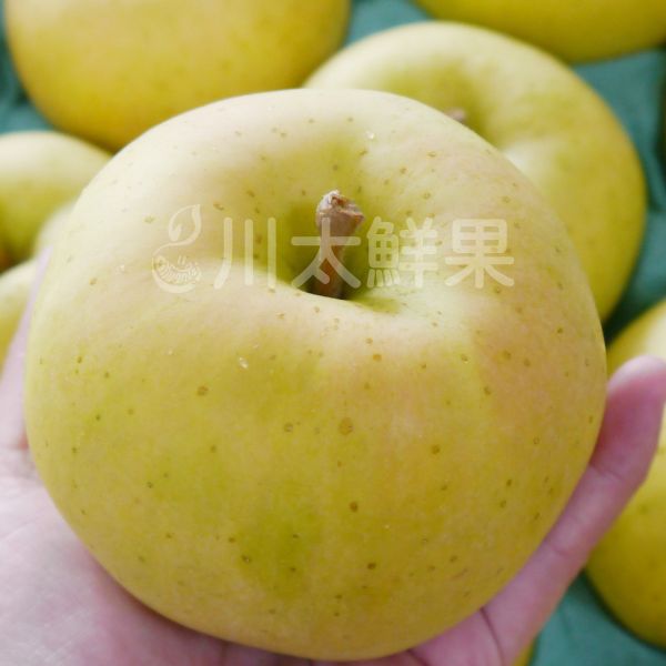 日本青森-TOKI水蜜桃蘋果、8顆入/盒、14顆入/大盒(免運) 水蜜桃蘋果,TOKI,トキ,青森蘋果,日本蘋果,蘋果,土岐