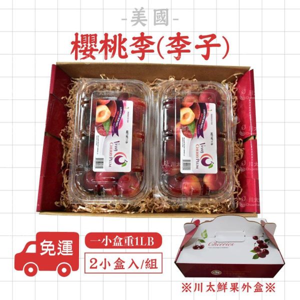 美國-櫻桃李(李子)、2小盒入/組(免運) 恐龍蛋,李子,甜李,脆李,進口水果,水果,水果禮盒,櫻桃李,美國櫻桃李,美國加州櫻桃李