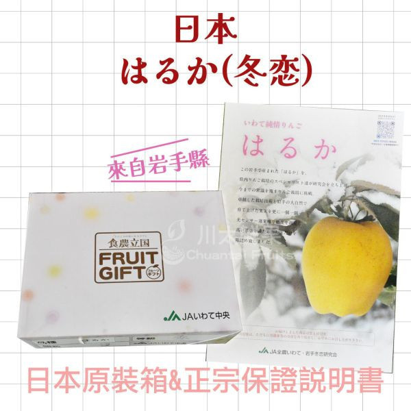 日本岩手縣-はるか冬恋蘋果、日本原裝盒8~9顆入/盒(免運) 日本岩手縣冬恋蘋果,岩手縣冬戀蘋果,冬戀,正宗冬戀