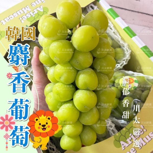 韓國麝香葡萄、原裝4公斤4房入/箱、禮盒2房入/盒(免運) 麝香葡萄,水果禮盒,韓國水果,送禮,空運水果