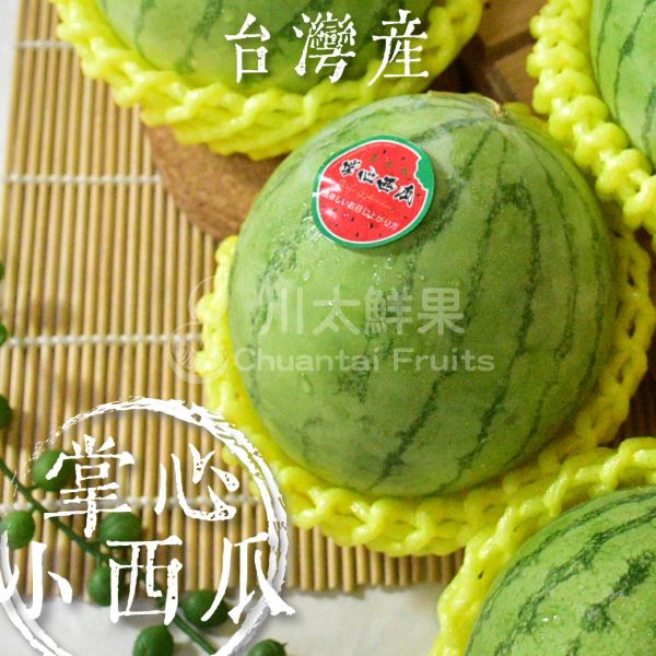 嚴選台灣-掌心小西瓜、6小顆入/盒(免運) 瓜,頂級水果,頂級哈密瓜,西瓜,掌心小西瓜,迷你西瓜,