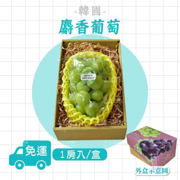 韓國麝香葡萄、1房入/盒、2房入/盒(免運) 麝香葡萄,水果禮盒,韓國水果,送禮,空運水果