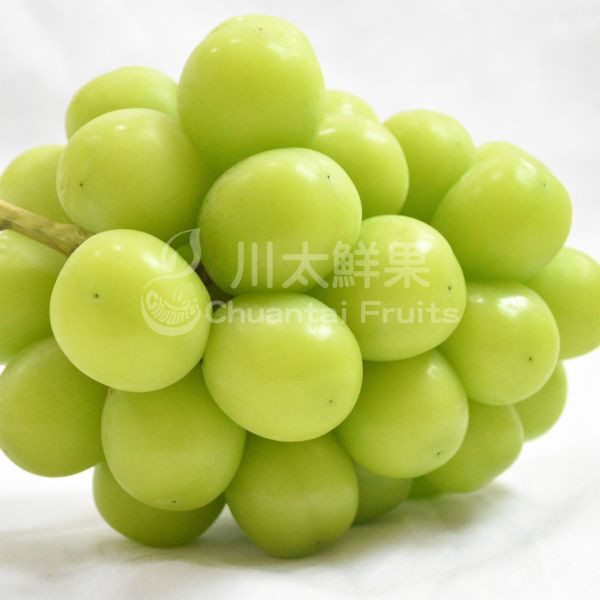 【特惠活動】韓國麝香葡萄、2房入/盒、同地址優惠(免運) 麝香葡萄,水果禮盒,韓國水果,送禮,空運水果