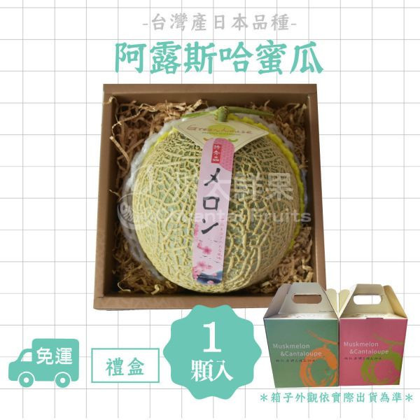 嚴選台灣小農-頂級阿露斯網紋哈密瓜、禮盒1顆入(免運) 溫室哈密瓜,綠肉,哈密瓜,網紋哈密瓜,頂級水果,頂級哈密瓜,熊本縣,熊本