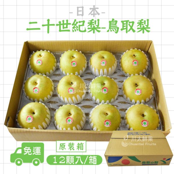 日本-二十世紀梨 鳥取梨、原裝12顆入/箱(免運) 二十世紀鳥取梨,日本梨,水梨,日本空運水果,日本水果,進口水果,水果宅配,限量