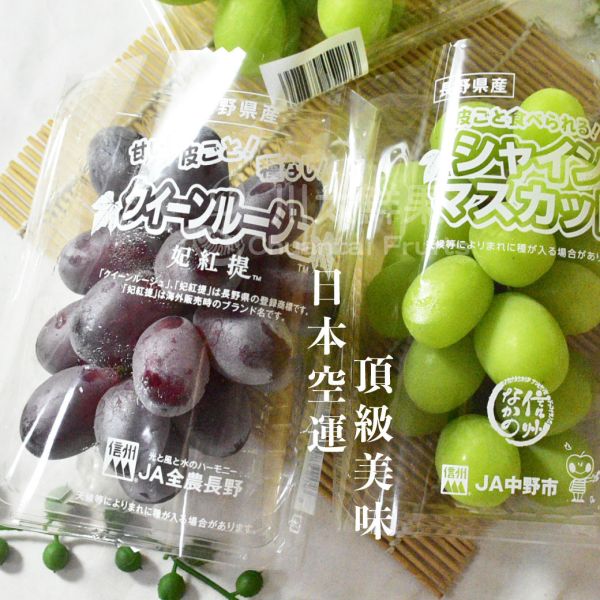 日本空運長野縣-麝香&妃紅提雙色葡萄組、2托入/盒(免運) 麝香葡萄,麝香葡萄,日本水果,進口水果,水果禮盒,送禮好物,麝香葡萄