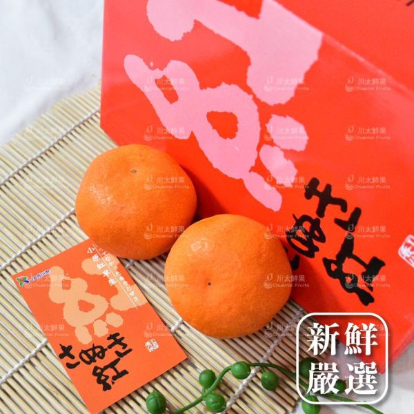 日本香川縣-{小原紅}蜜柑、日本原裝12顆入/盒、同地址優惠(免運) 日本才色果實,日本和歌山蜜柑,日本溫室蜜柑,日本蜜柑,小原紅蜜柑,香川蜜柑,日本蜜柑禮盒,頂級蜜柑