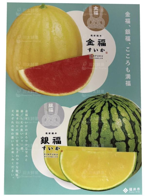日本空運-福井縣金福西瓜(紅肉)、日本原裝禮盒1顆入/盒(免運) 日本熊本哈密瓜,溫室哈密瓜,綠肉,哈密瓜,網紋哈密瓜,日本水果,空運水果,日本果物,頂級水果,頂級哈密瓜,熊本縣,熊本,日本伴手禮,靜岡哈密瓜,日本福井金福西瓜,金福,銀福,日本西瓜