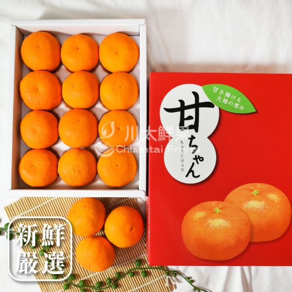 日本和歌山-蜜柑、日本原裝12顆入/盒(免運) 日本才色果實,日本和歌山蜜柑,日本溫室蜜柑,日本蜜柑