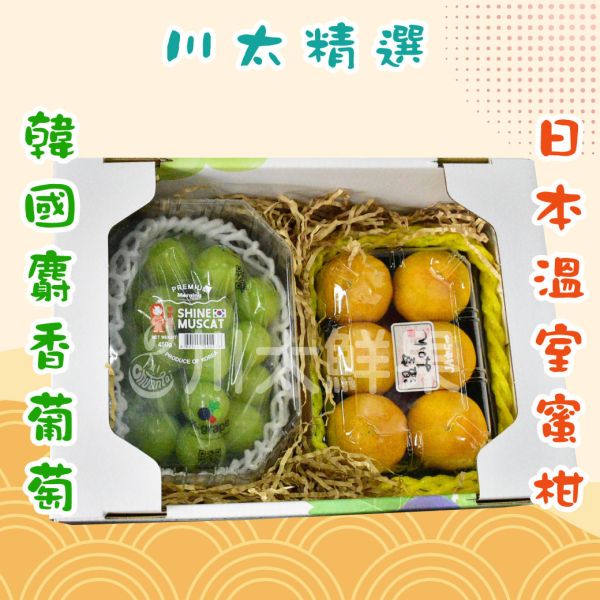 川太精選-韓國麝香PC盒1托入+蜜柑1盒入/組、(免運) 水果禮盒,日本水果,送禮,蜜柑,麝香,中秋,年節,日本麝香,日本蜜柑